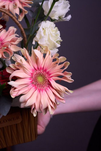 Композиция "День знаний" с герберой арт 15241Дв